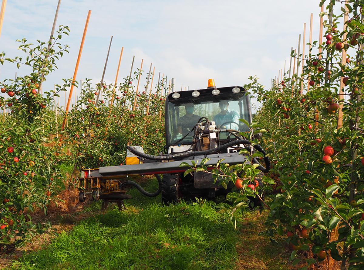 На территории округа работают более семидесяти фермерских хозяйств