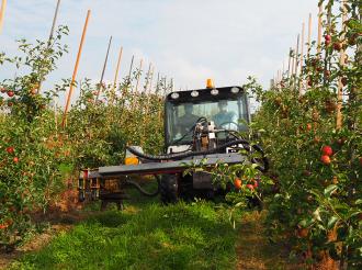 На территории округа работают более семидесяти фермерских хозяйств