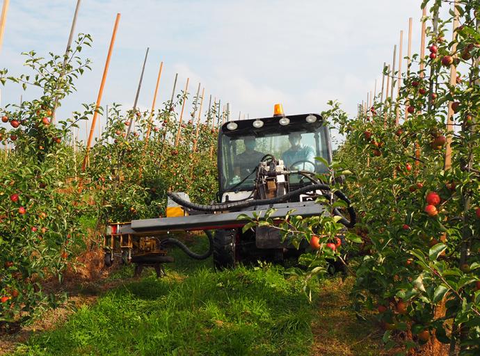 На территории округа работают более семидесяти фермерских хозяйств