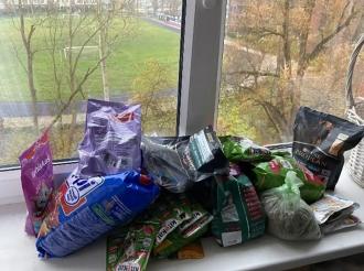 В гимназии «Вектор» завершилась акция по сбору кормов для бездомных животных