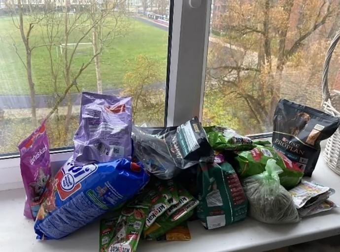 В гимназии «Вектор» завершилась акция по сбору кормов для бездомных животных