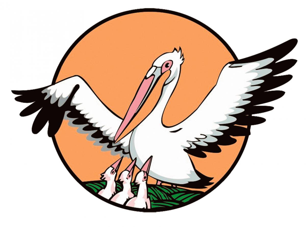 В Зеленоградске завершился муниципальный этап конкурса профессионального мастерства педагогов