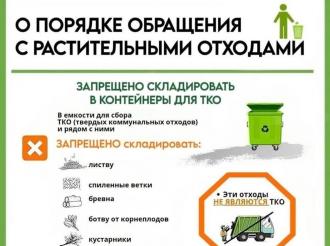 «Оставил ветви – заплати штраф»