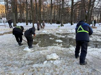 Полынья для уток