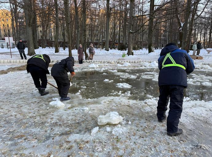 Полынья для уток