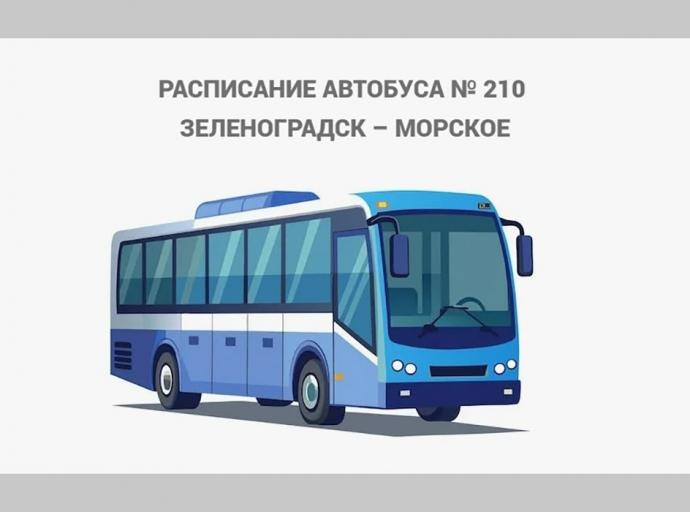 В администрации сообщили об изменении расписания в движении автобусов «Зеленоградск-Морское»
