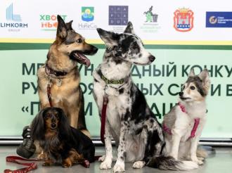 Смелые люди и добрые звери