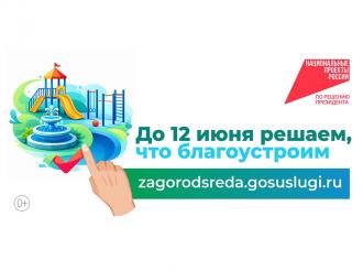 Голосование за благоустройство нашего города