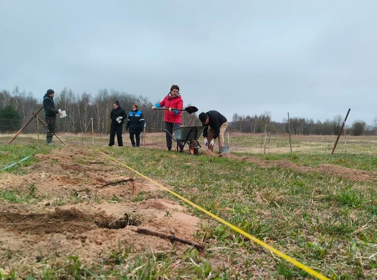 В Зеленоградском округе расширили виноградник