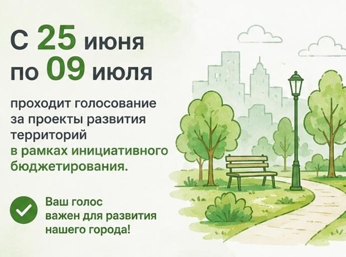 С 25 июня по 9 июля проходит голосование за проекты развития территорий в рамках инициативного бюджетирования