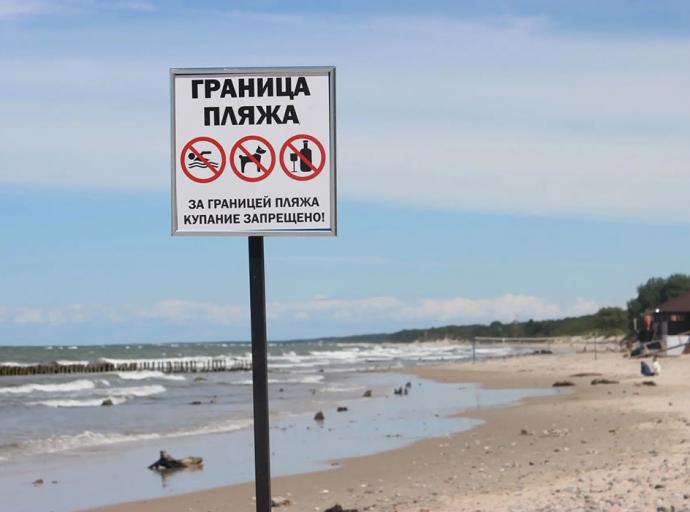 Как выгуливать собаку