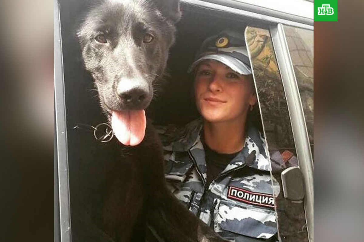 6. Собака Жасмин