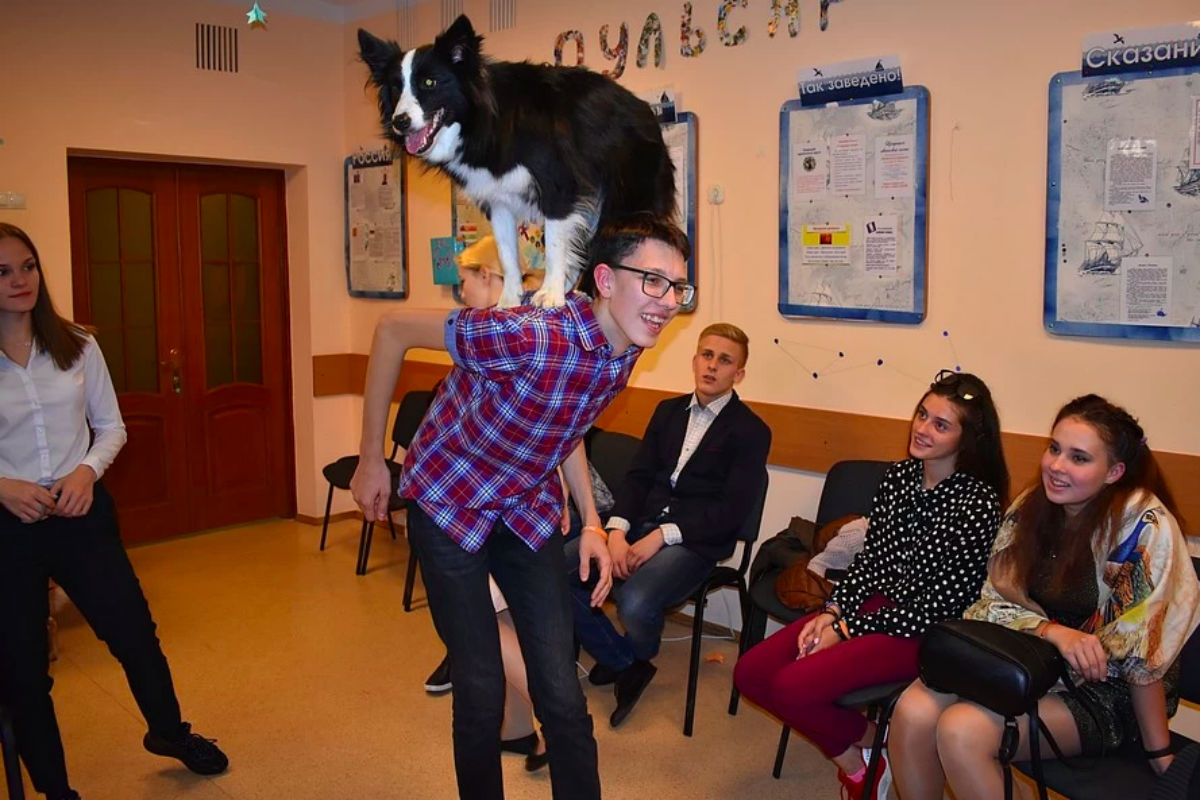 8. Собака Ася