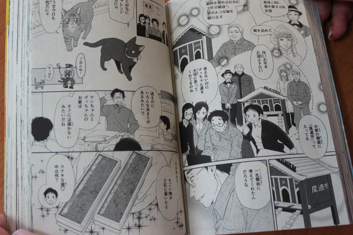 news 337 1