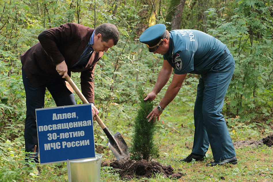 посадка